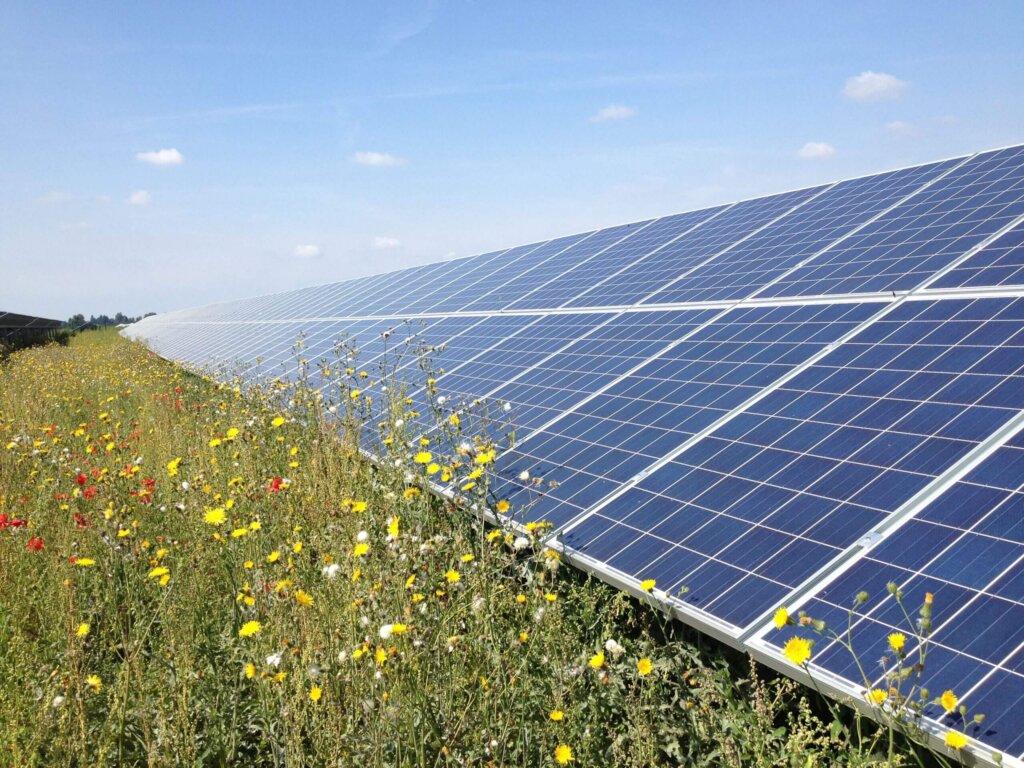 Billown Solar Farm utility scale renewable generation